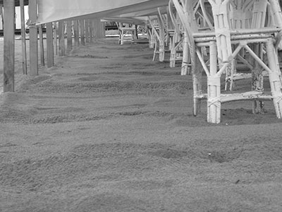 FDotografia Freelance